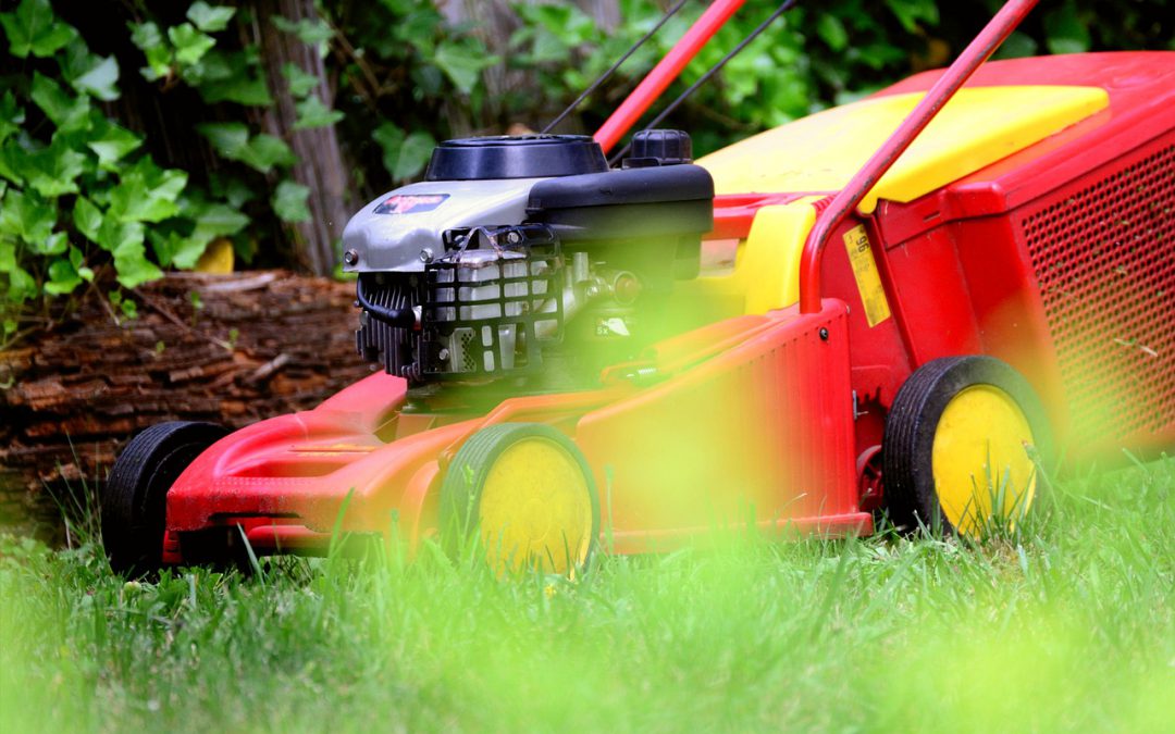 Ogród – realizacja projektów ogrodowych